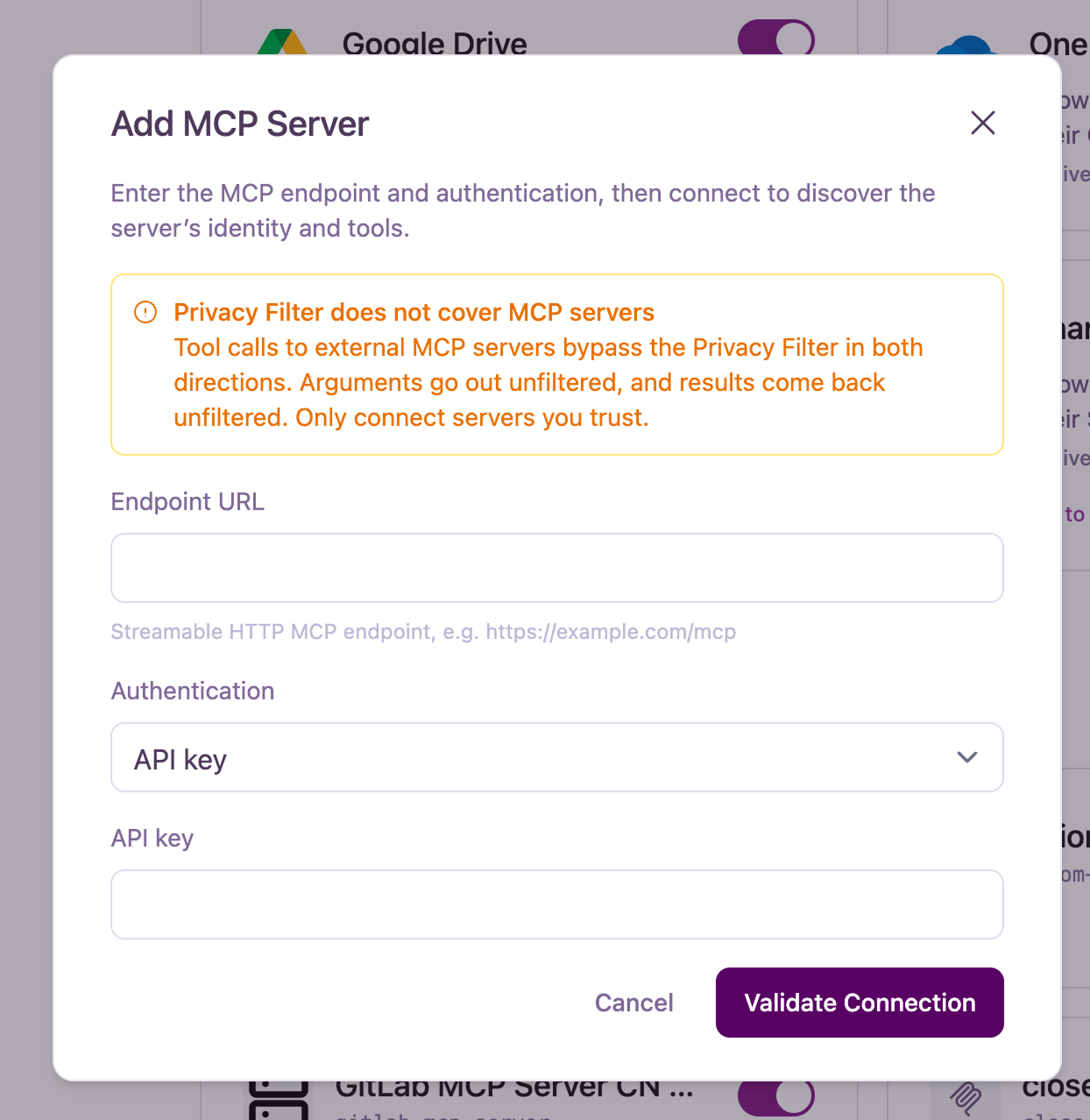 Add MCP Server dialog with a Privacy Filter warning, endpoint URL field, and API key authentication