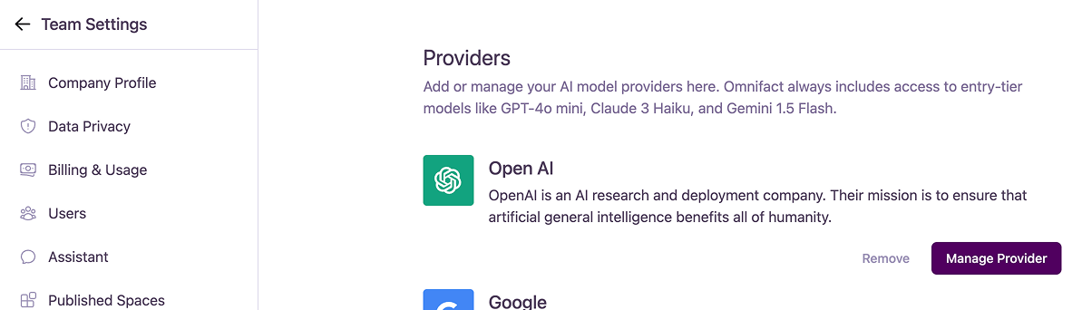 The Providers dashboard showing a list of AI model providers like OpenAI, Google, and Anthropic.