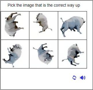 FunCaptcha orientation challenge