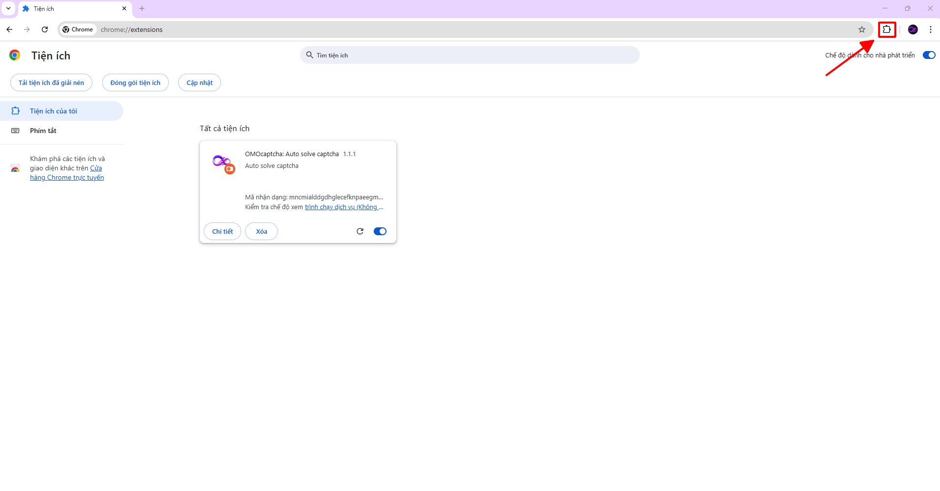 Click the extension icon