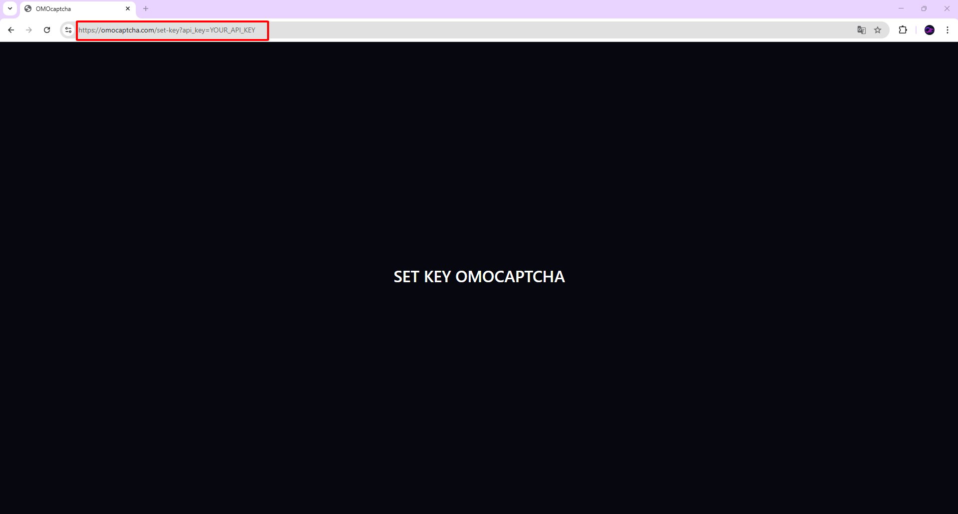 Set API Key via URL