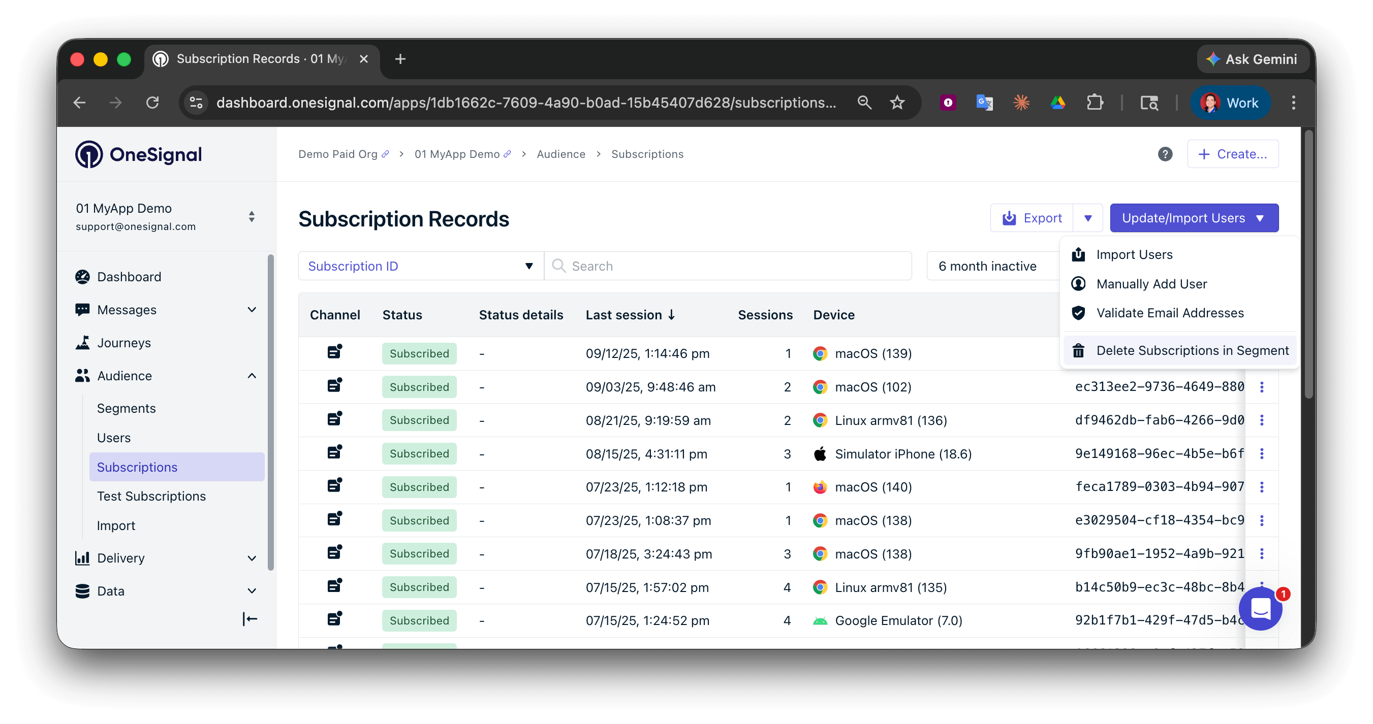 导入下拉菜单中的“删除分段中的订阅”选项