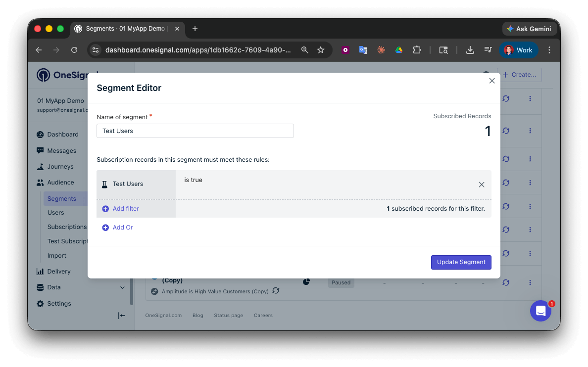 Create a 'Test Users' segment with the Test Users filter.