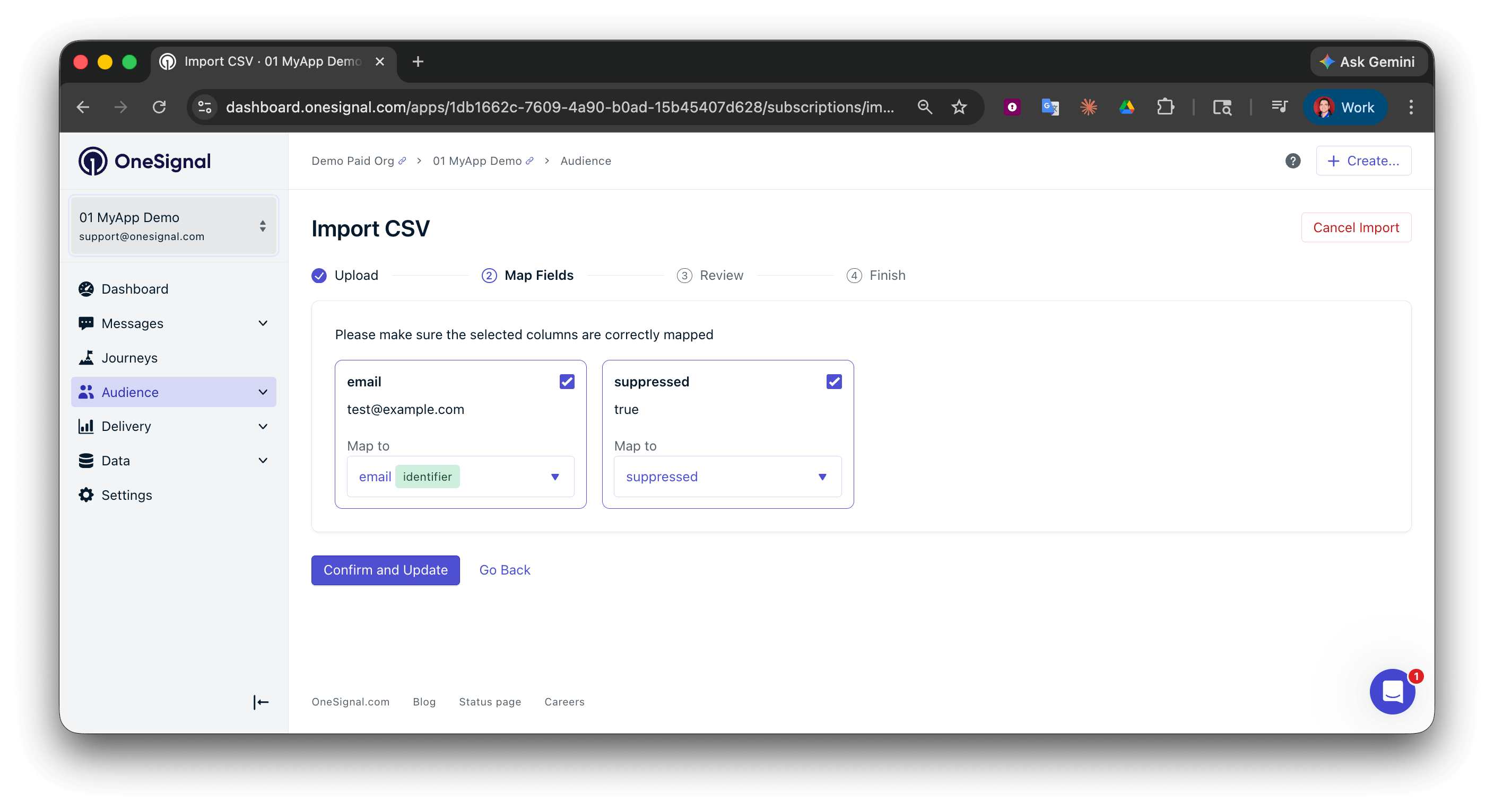 CSV import tool with suppressed column mapped for bulk suppression