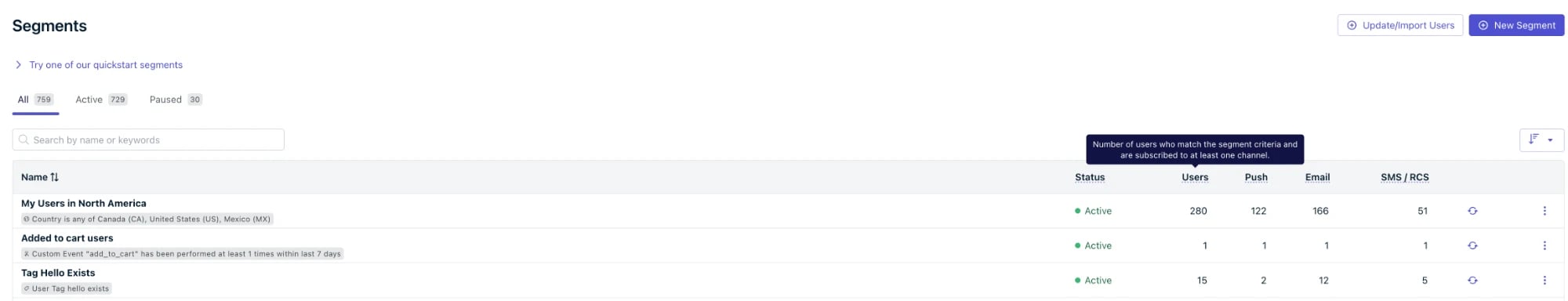 Segments page listing segments with Users, Push, Email, and SMS / RCS count columns