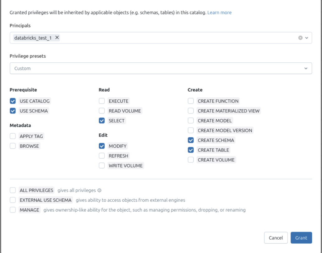 Privilege assignment screen for a Databricks principal with custom catalog permissions selected