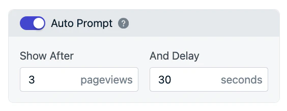 Auto prompt delay settings for page views and seconds