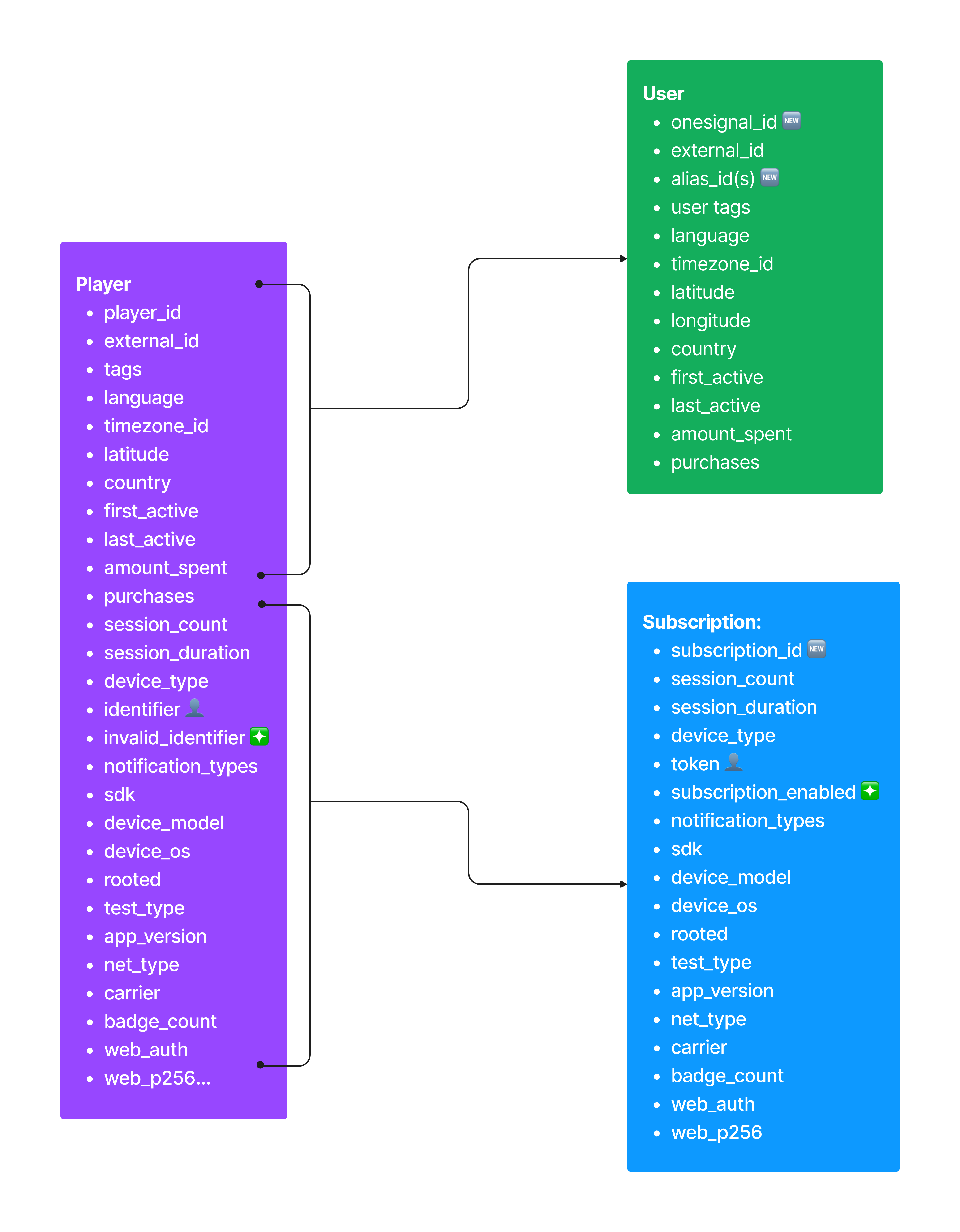 Diagram showing difference between Player and User Models