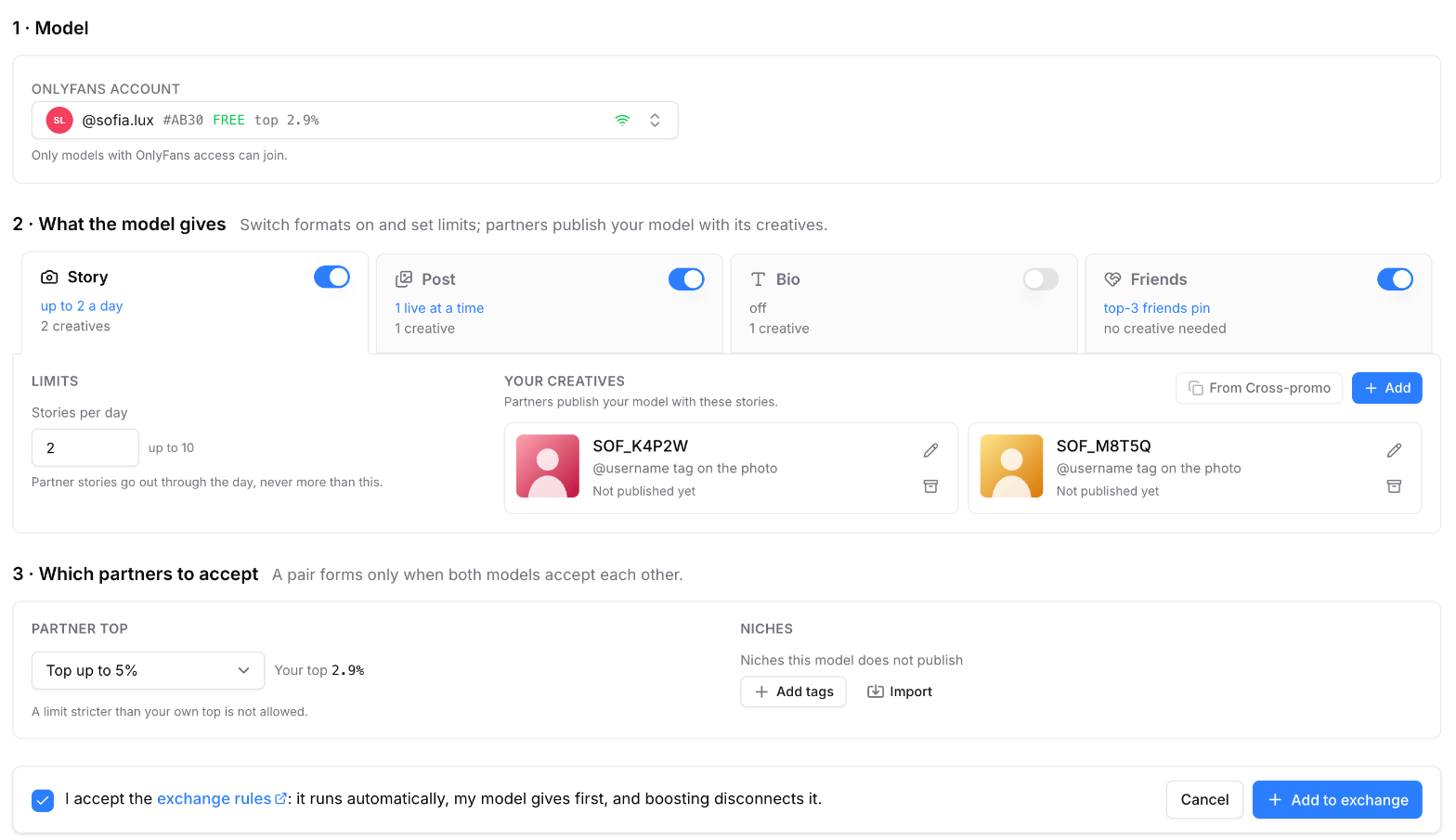 Slot form: formats with limits and creatives, partner top and niches