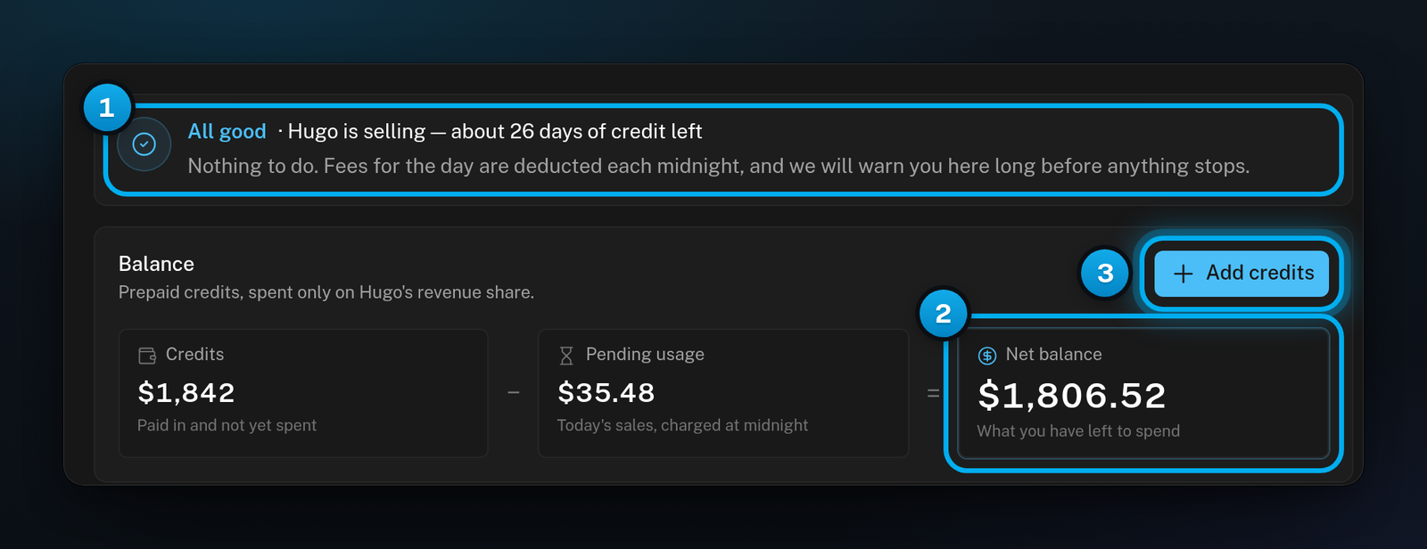 The Billing Overview with the status card, the Credits, Pending usage and Net balance tiles, and the Add credits button
