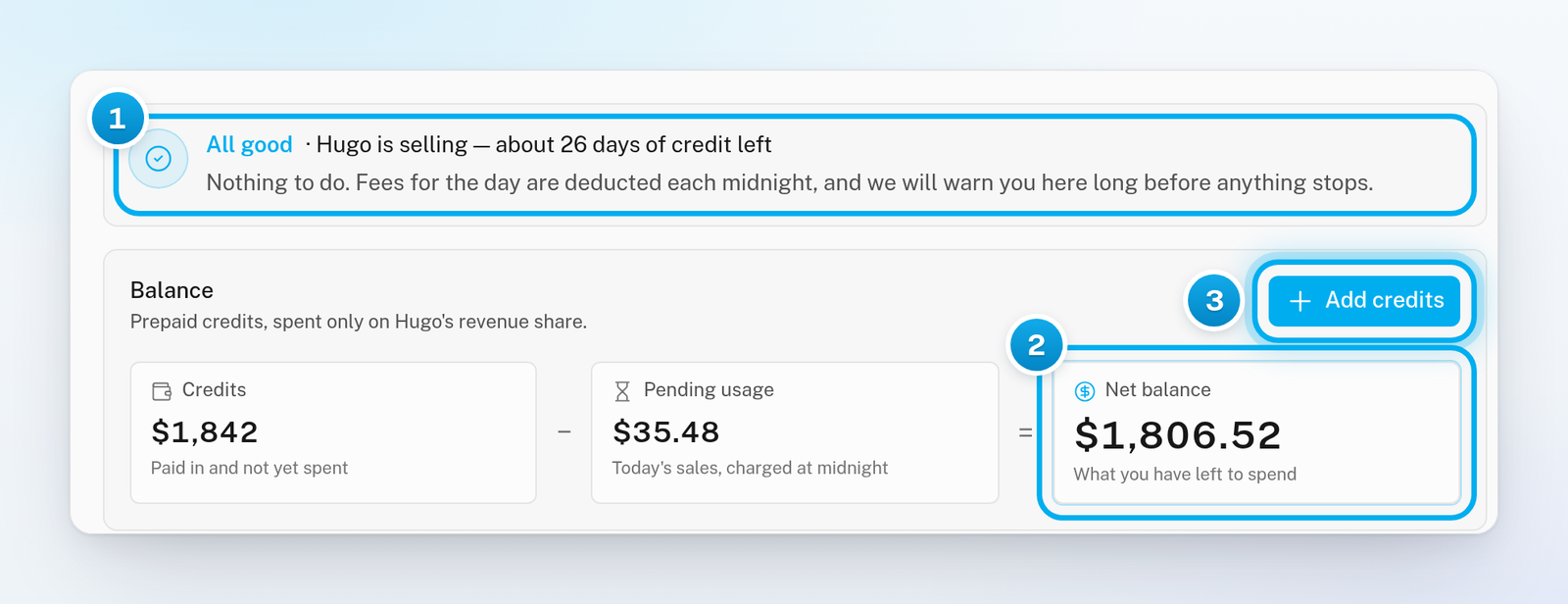 The Billing Overview with the status card, the Credits, Pending usage and Net balance tiles, and the Add credits button