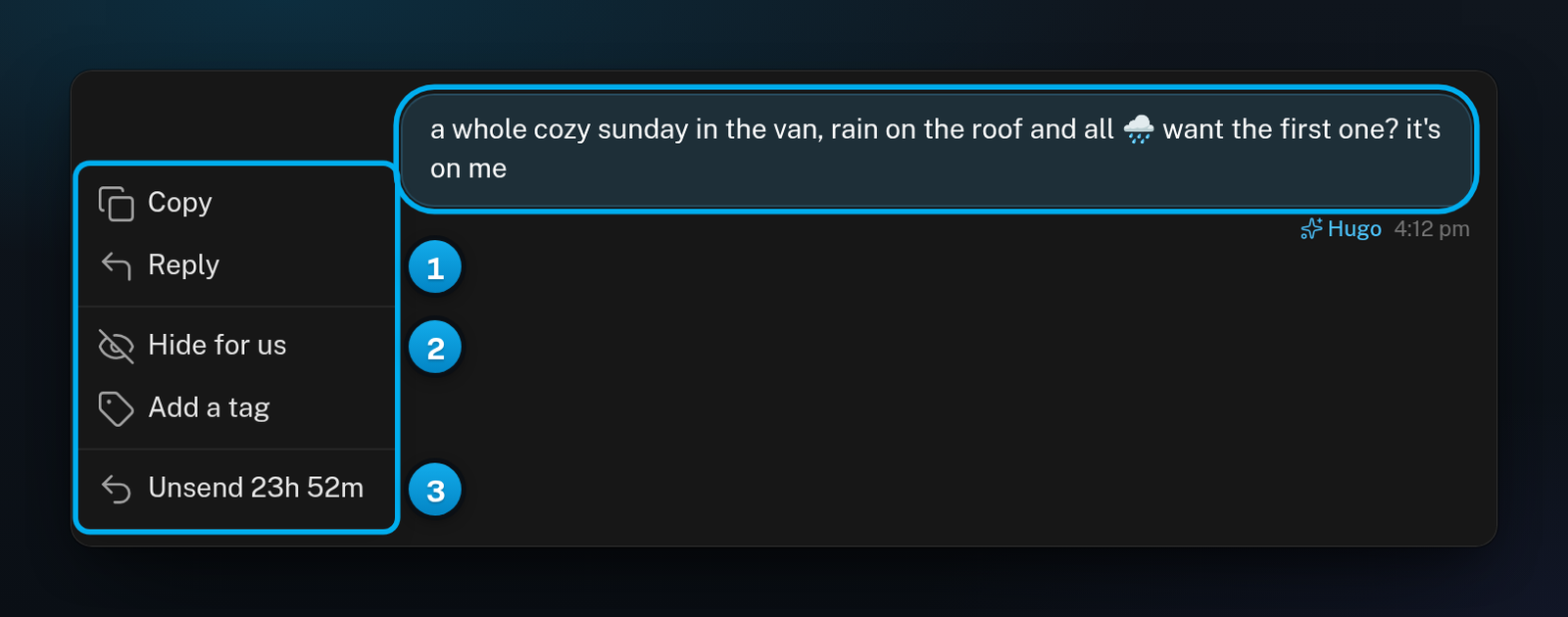 The menu of one of Hugo's messages, open, with Copy, Reply, Hide for us, Add a tag and Unsend with the time left