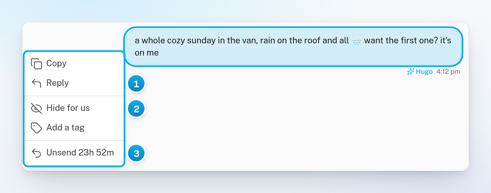 The menu of one of Hugo's messages, open, with Copy, Reply, Hide for us, Add a tag and Unsend with the time left