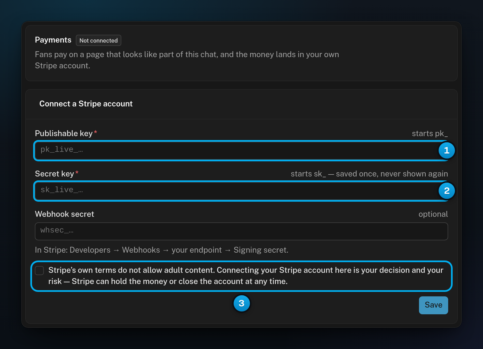 The Payments tab showing Not connected, with the Publishable key and Secret key fields and the Stripe warning checkbox