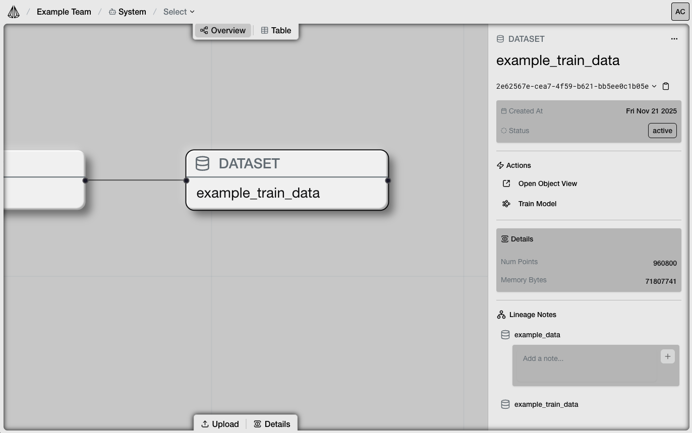 Data lineage visualization