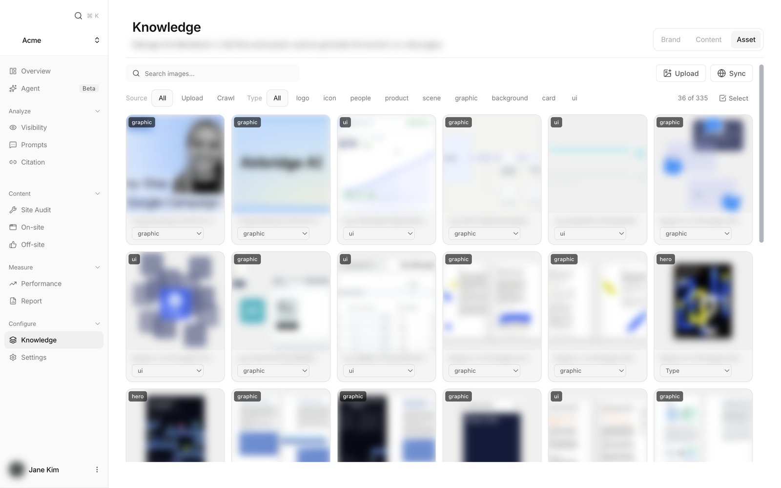 Knowledge 화면의 Asset 탭