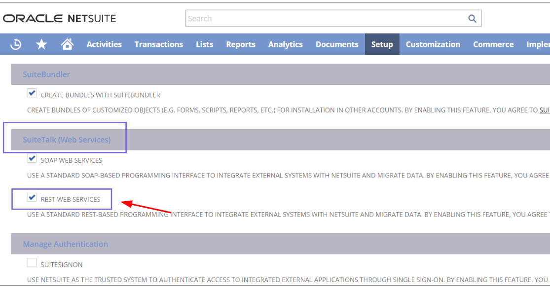 NetSuite SuiteCloud tab with REST Web Services checked under SuiteTalk