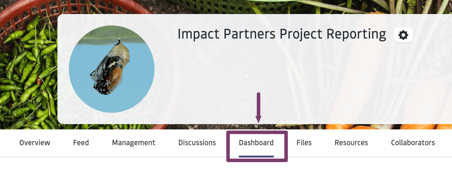 Projectdashboard