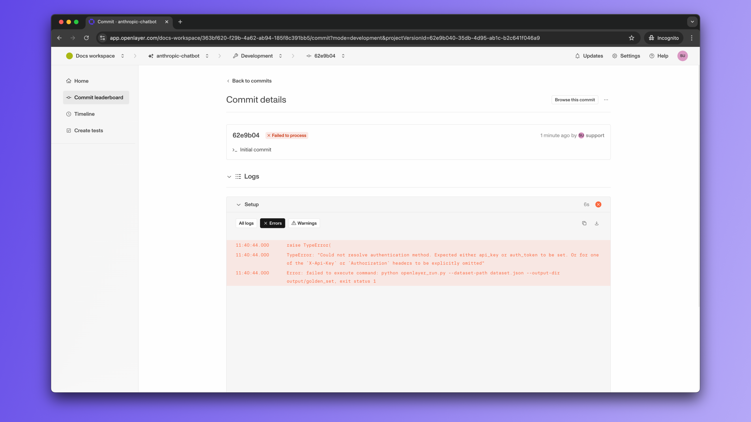 Missing Anthropic API key