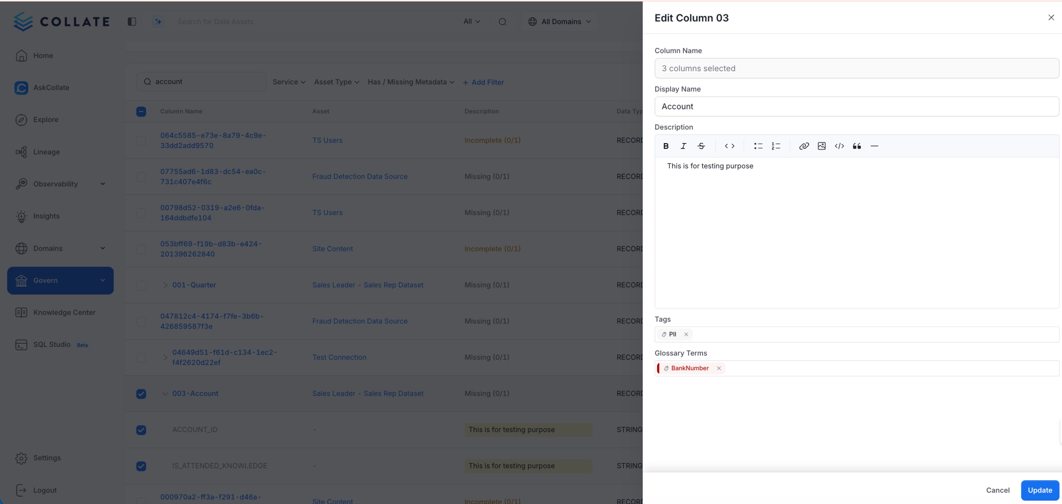 Update Column Metadata