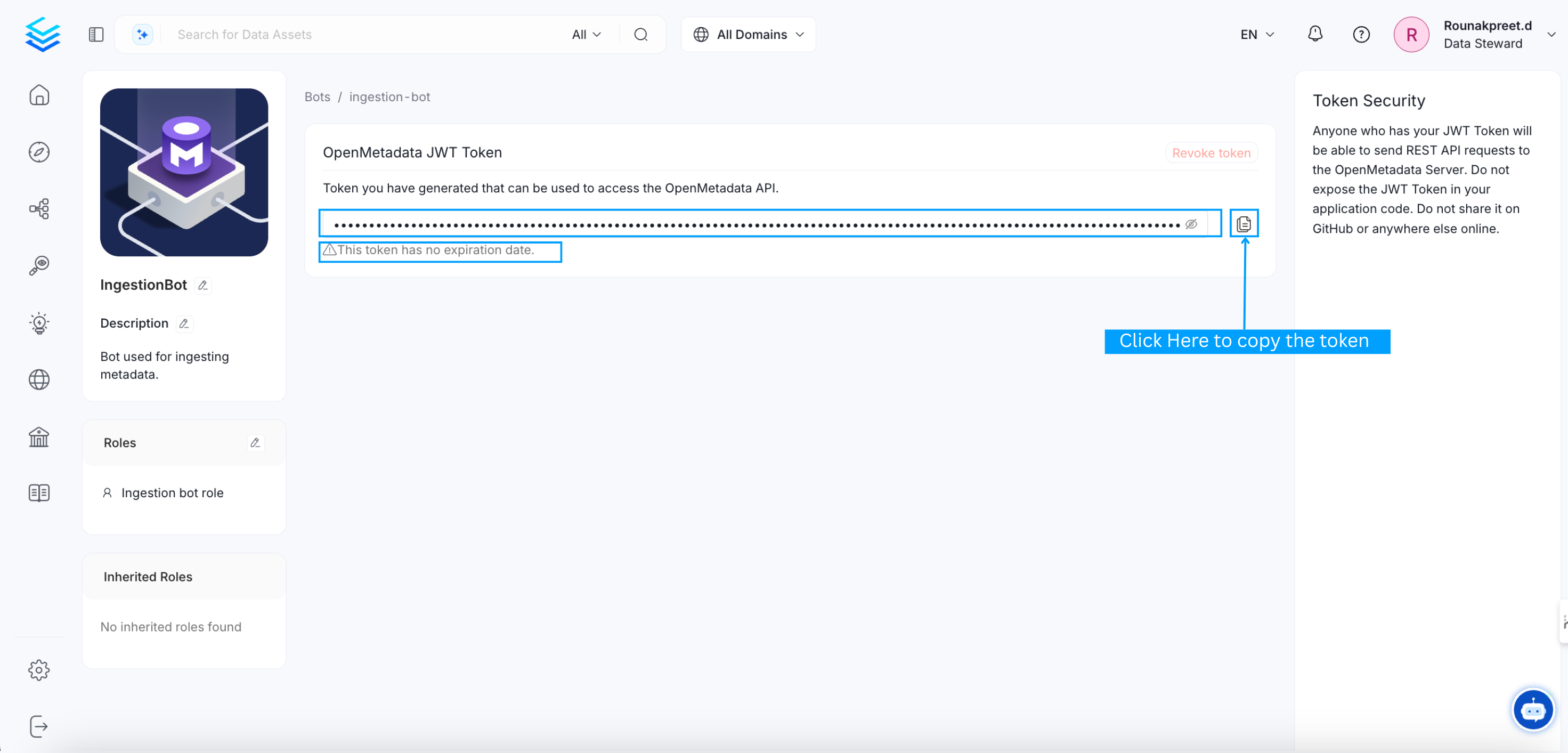 Copy the JWT token from the bot details page