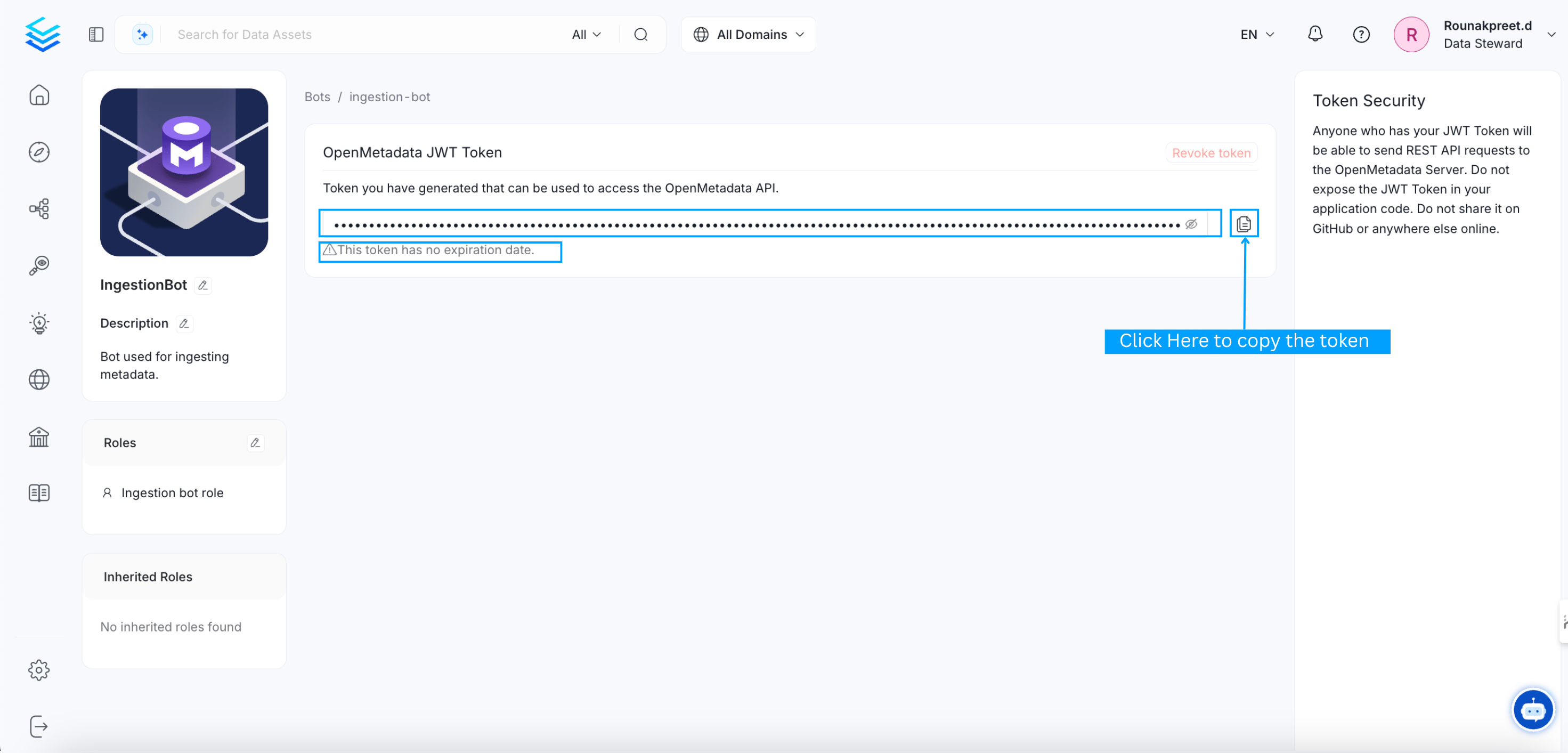 Copy the JWT token from the bot details page