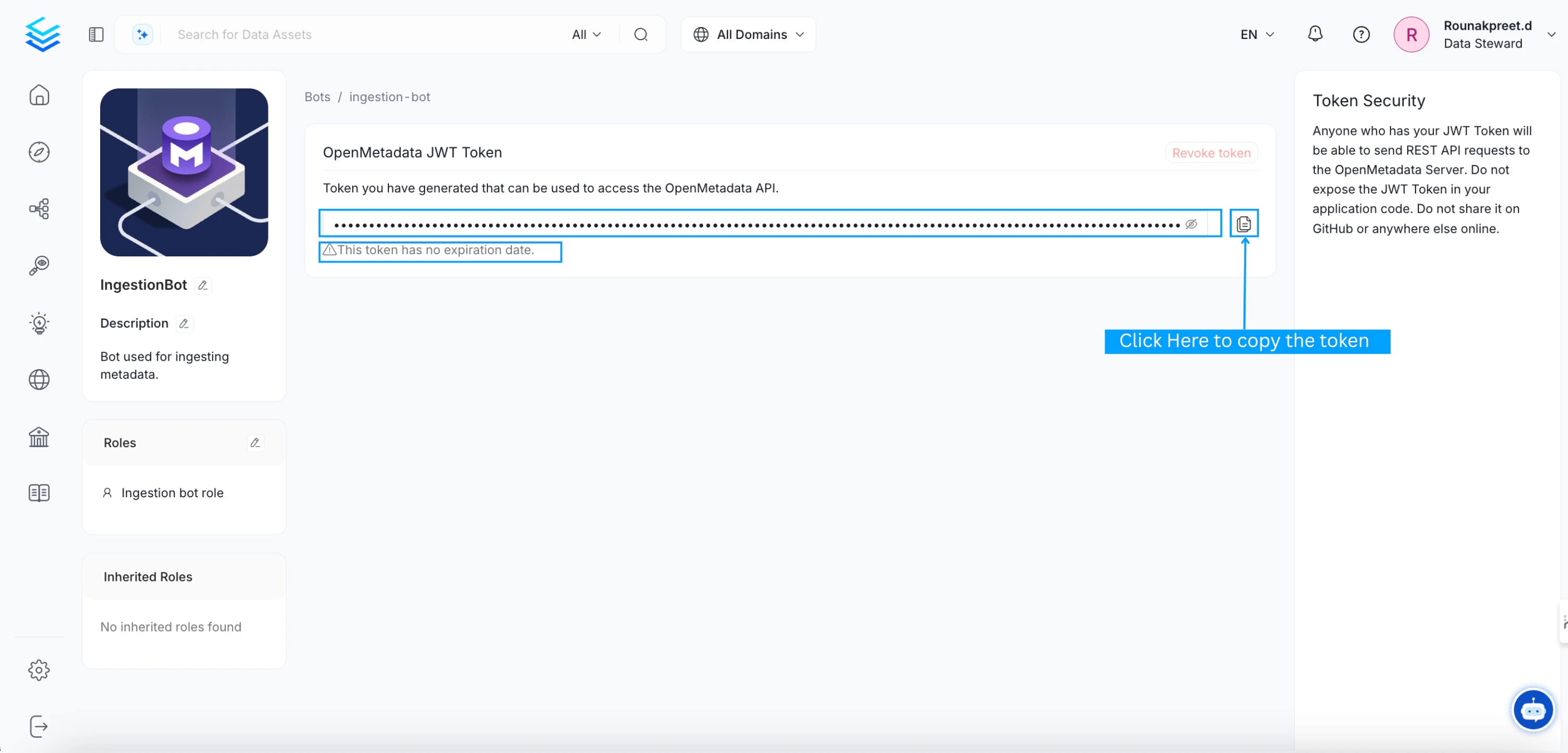 Copy the JWT token from the bot details page