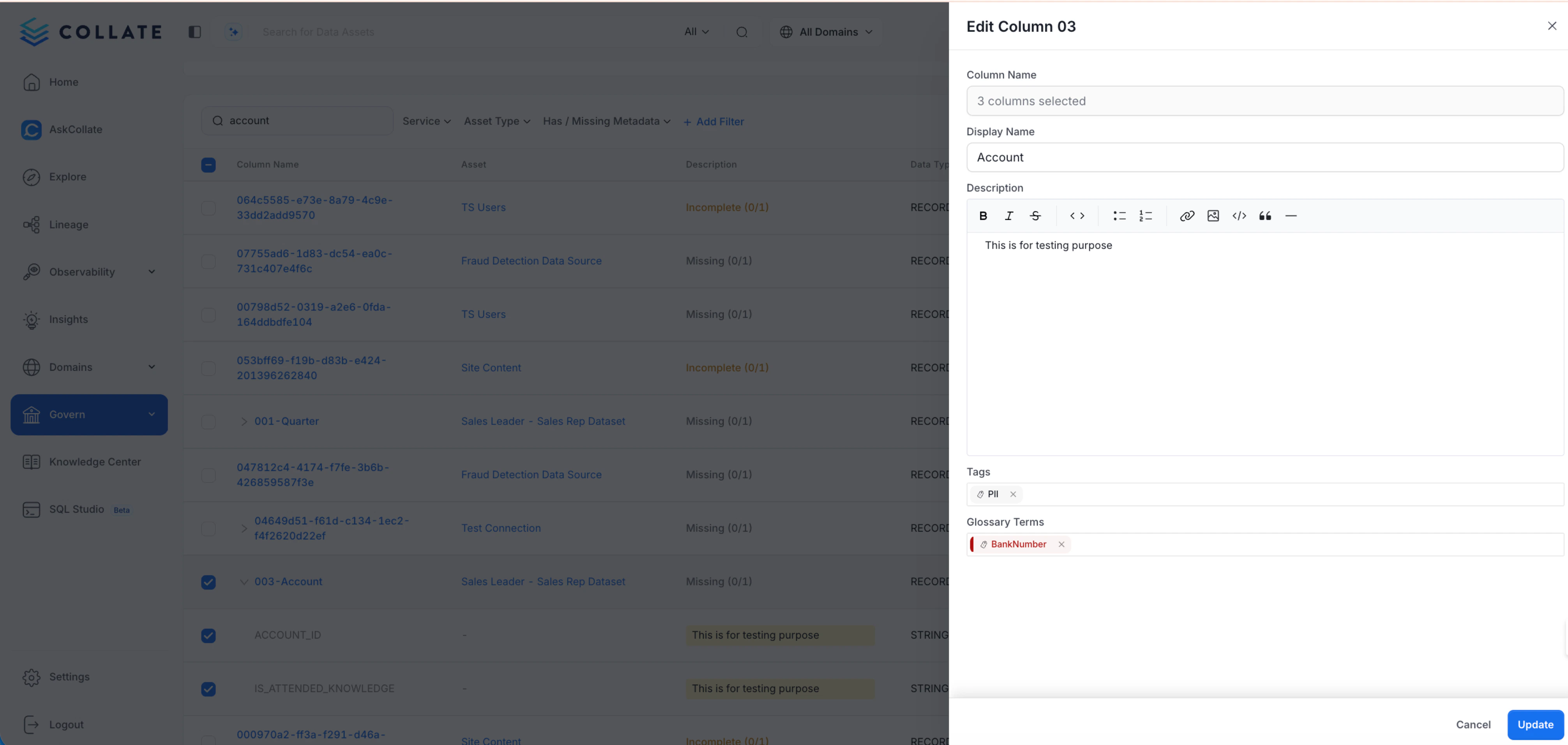 Update Column Metadata