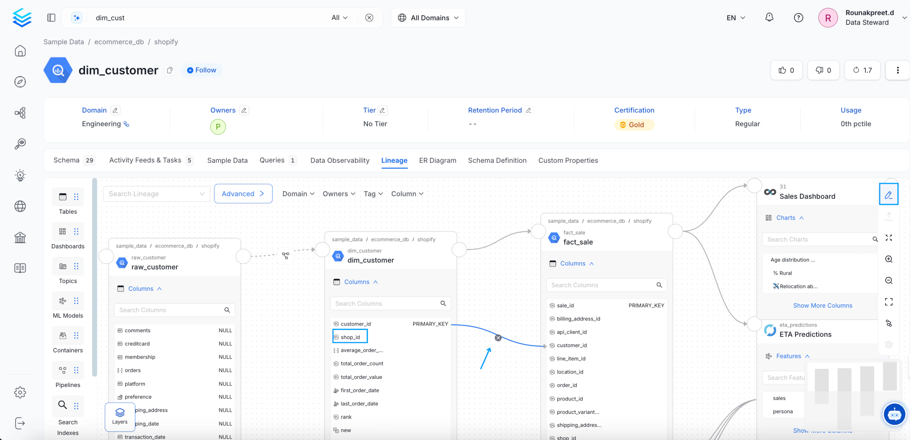 Manually Edit Column Level Lineage