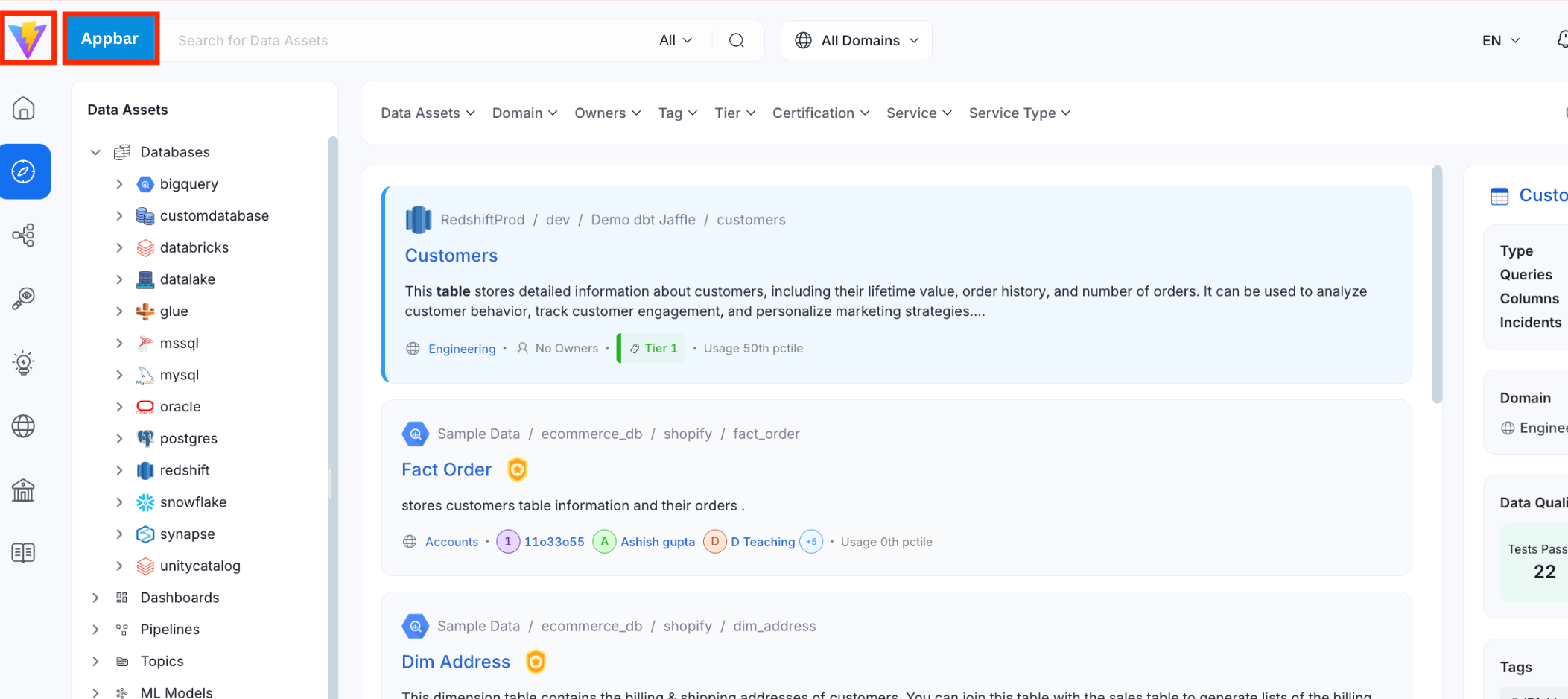 Custom logo applied to the OpenMetadata interface