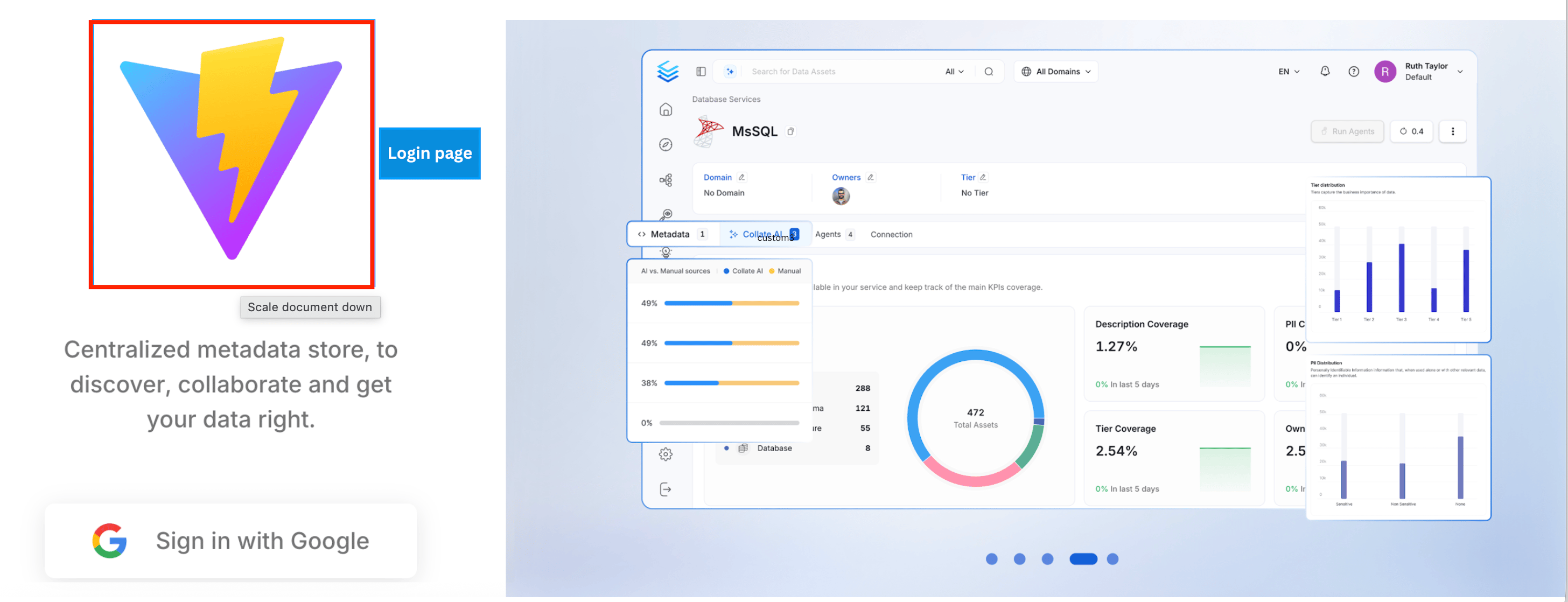 Custom logo on the login page