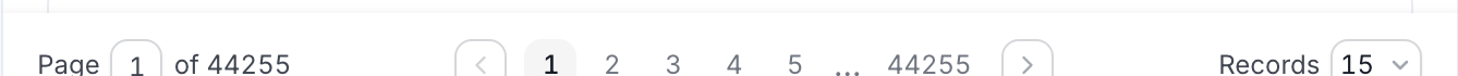 Explore pagination card showing page controls and the records-per-page selector