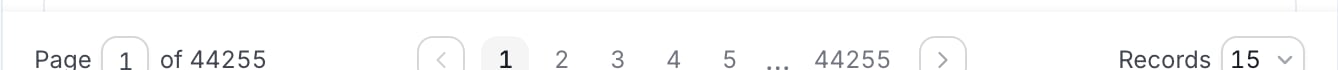Explore pagination card showing page controls and the records-per-page selector