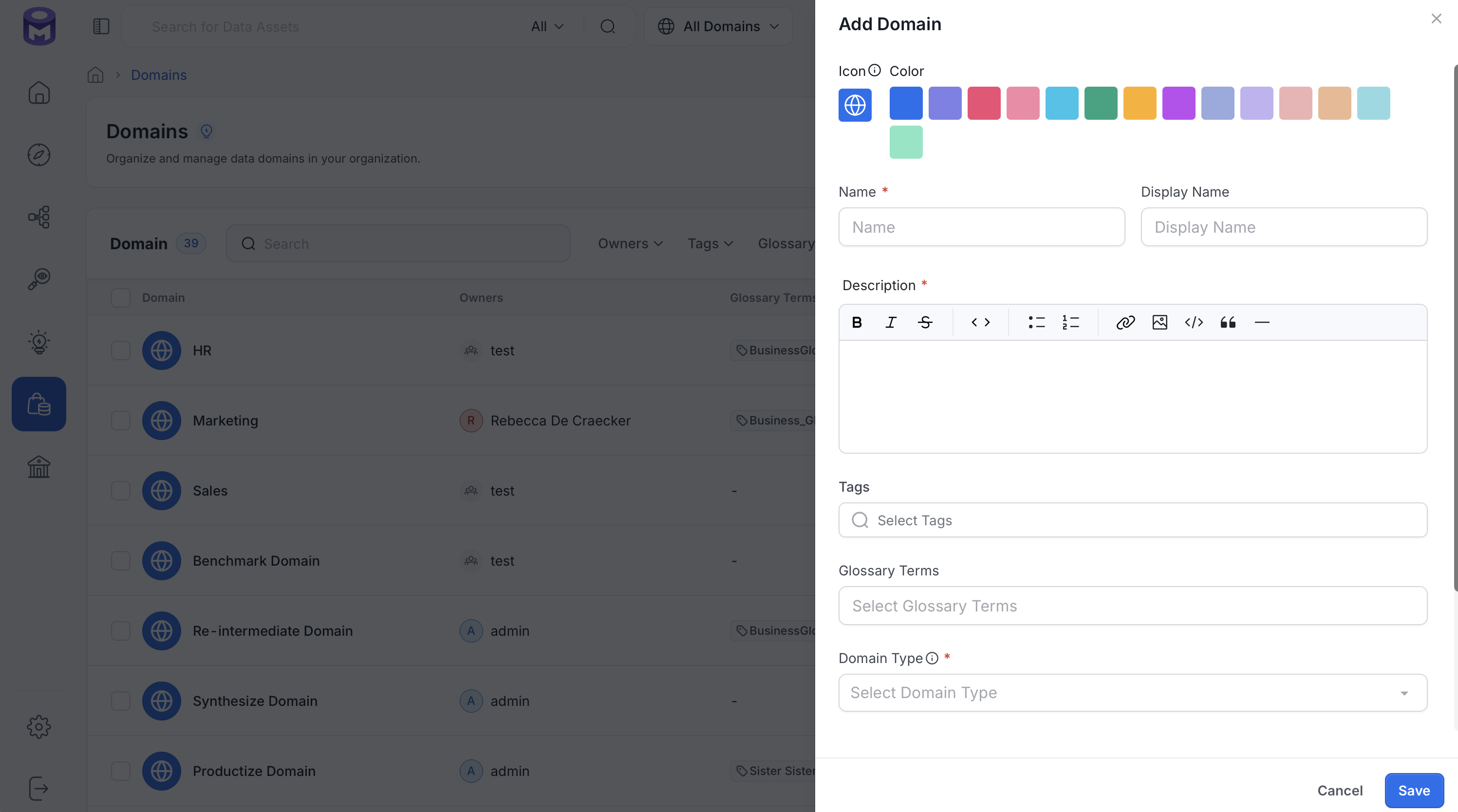 Add Domain panel with icon, color, name, display name, and description fields