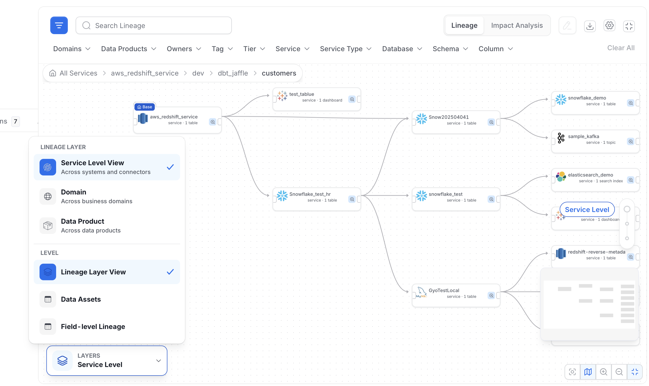 Layers panel with Lineage Layer and Level options