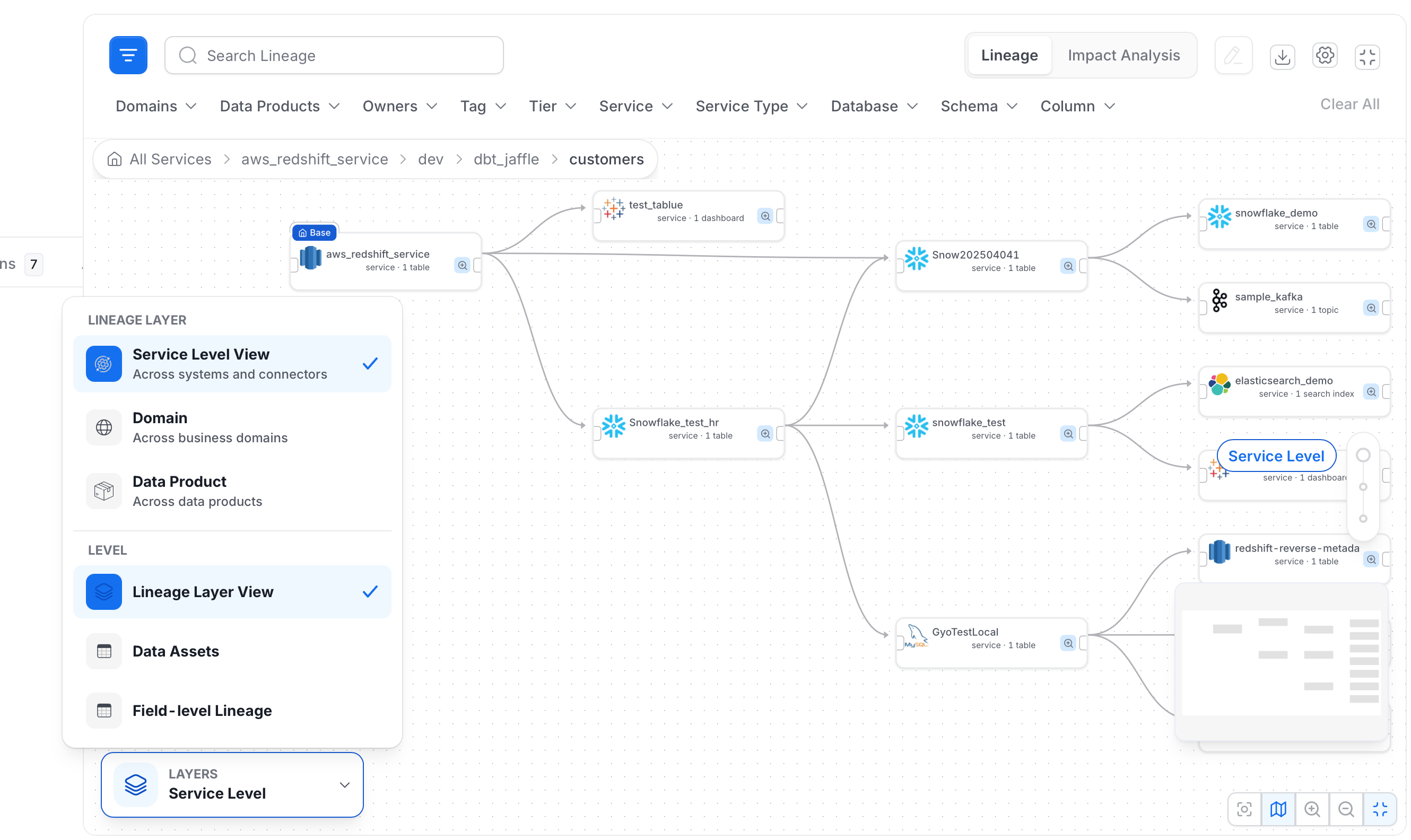 Layers panel with Lineage Layer and Level options
