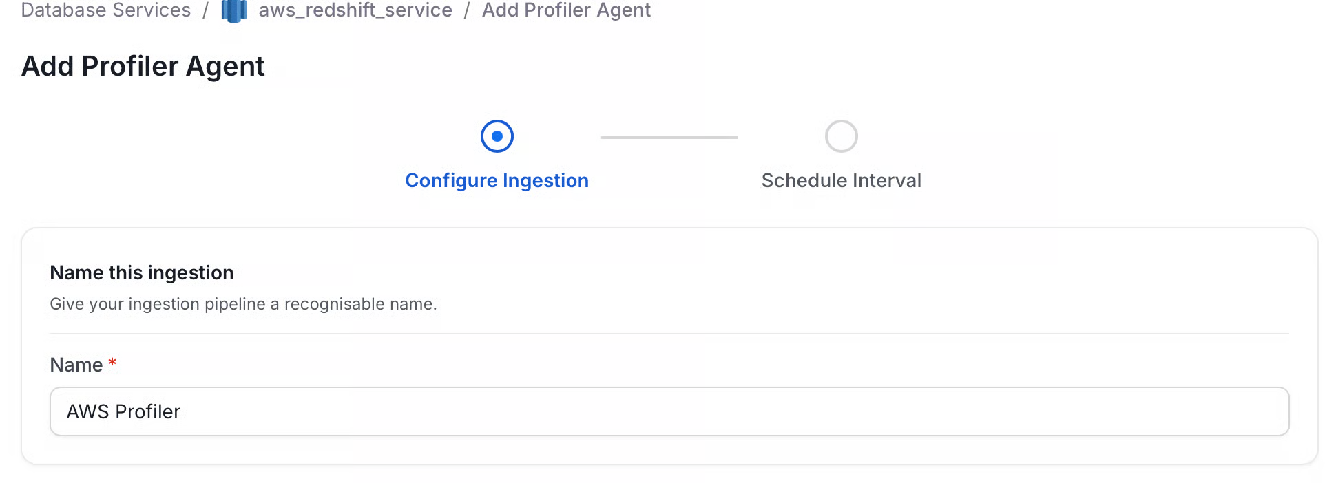 Set profiler name