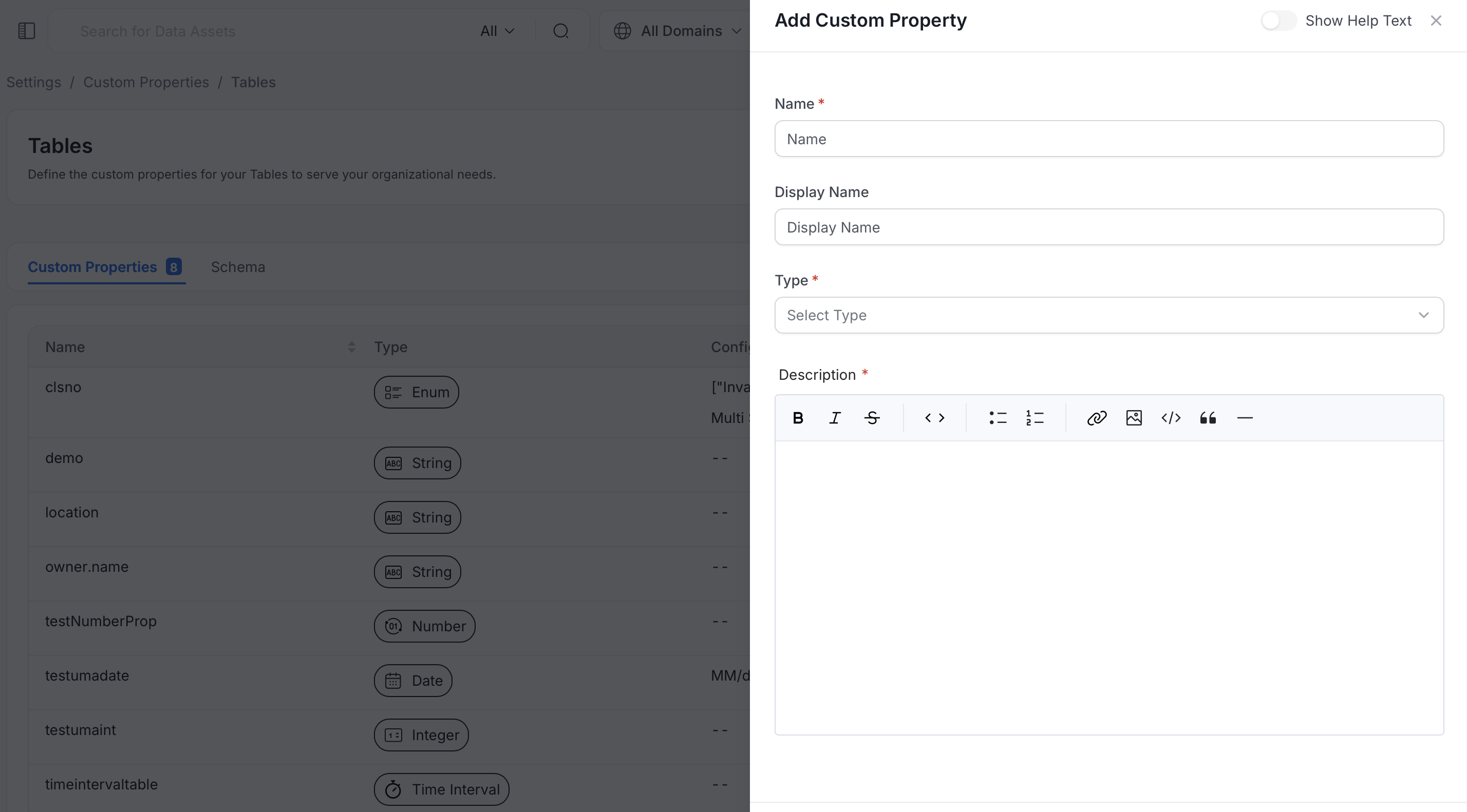 Add Custom Property panel with Name, Display Name, Type, and Description fields