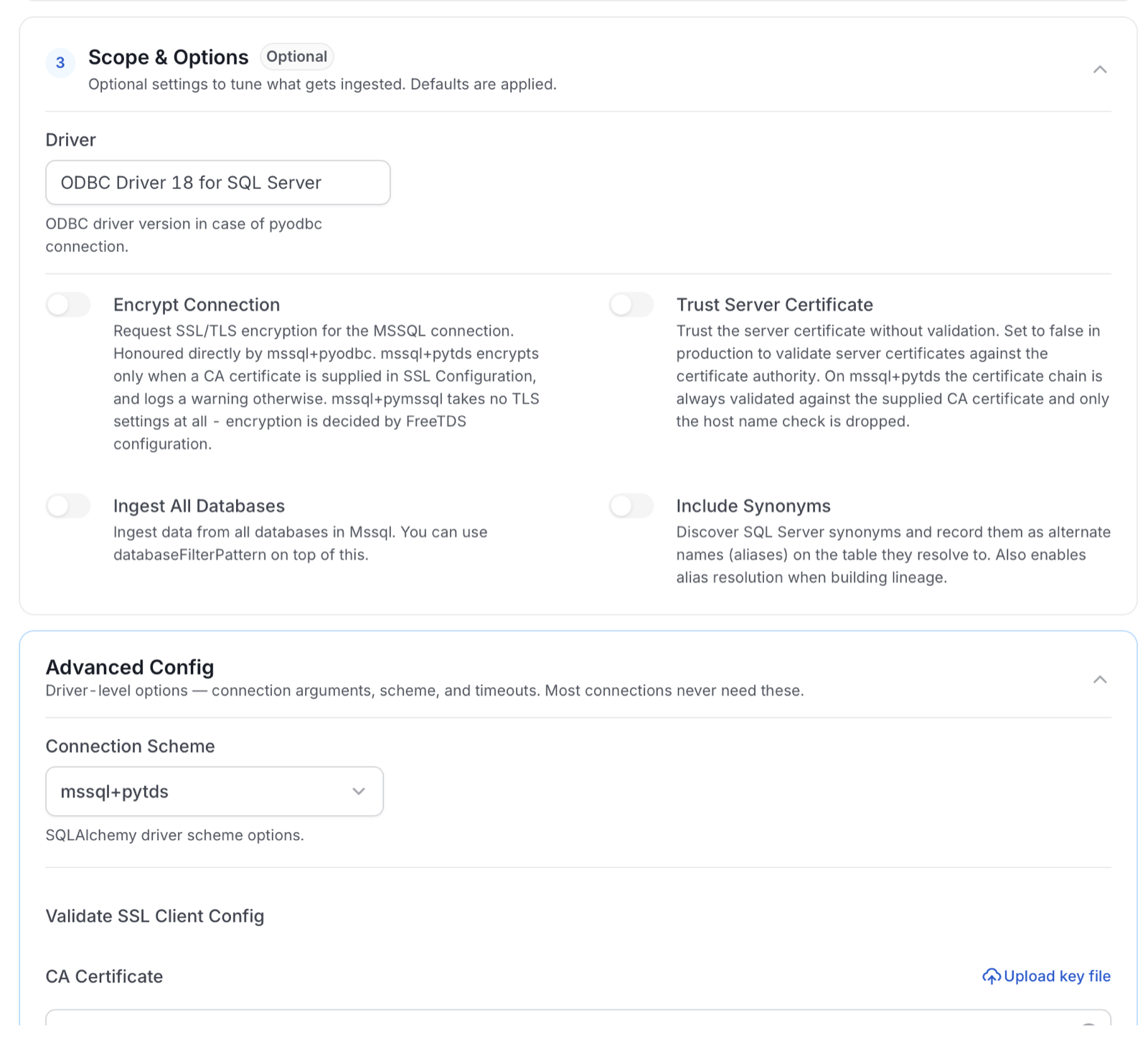 Include Synonyms and other Scope and Options settings