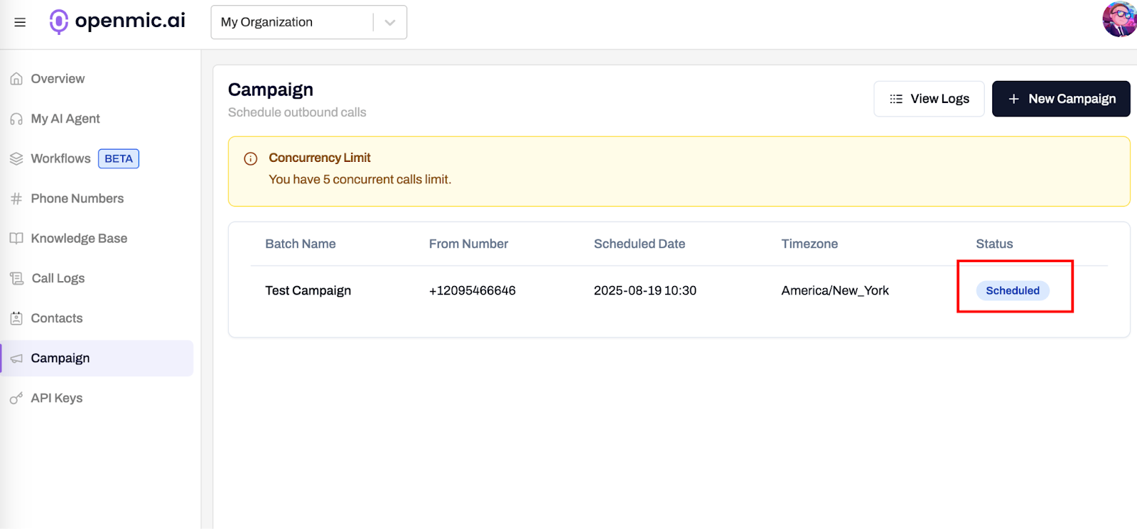 Monitoring campaign performance and call logs