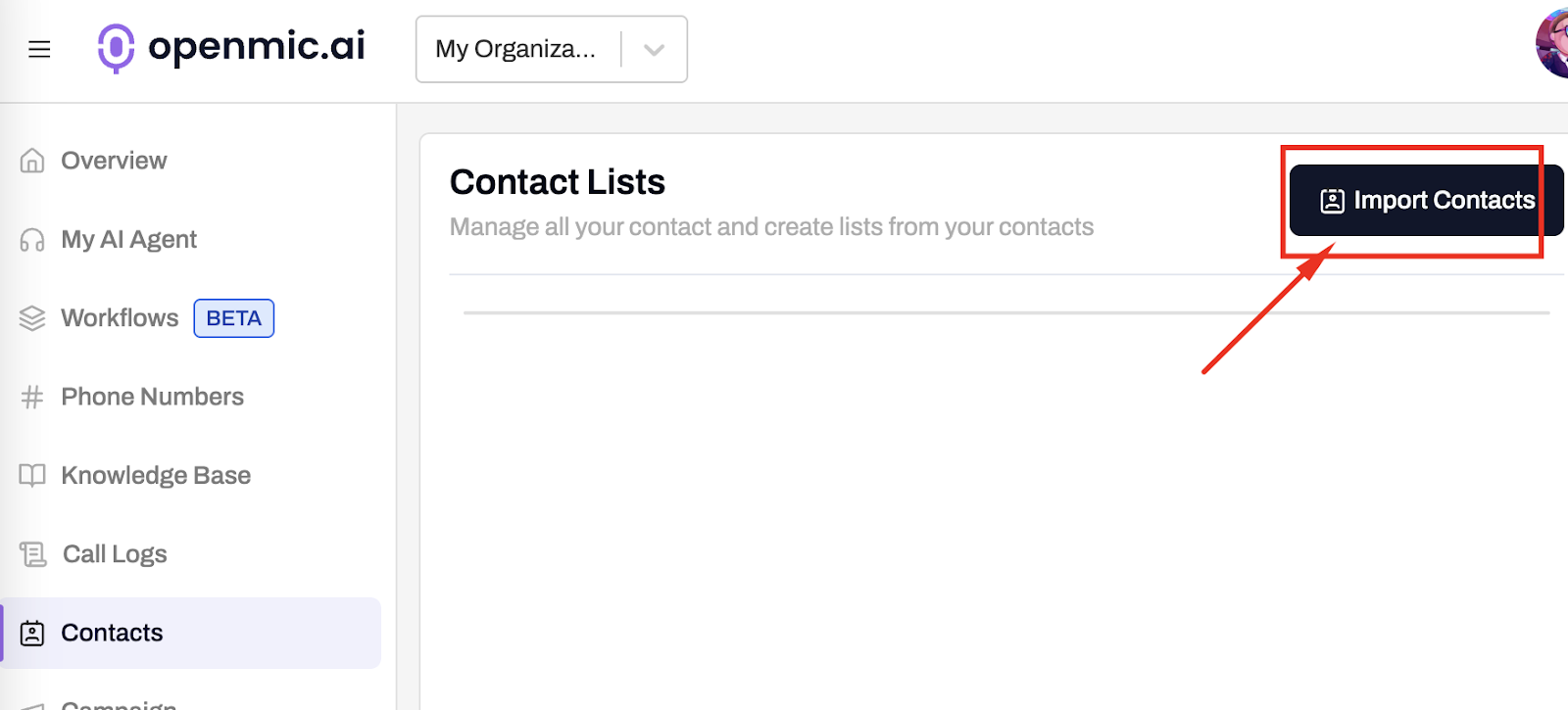 Mapping CSV fields to contact list columns