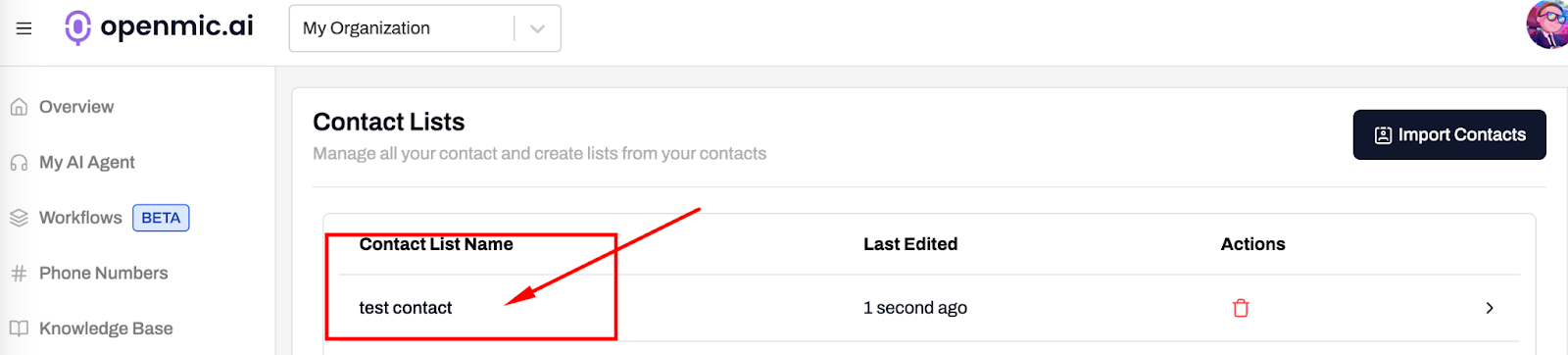 Upload CSV file interface