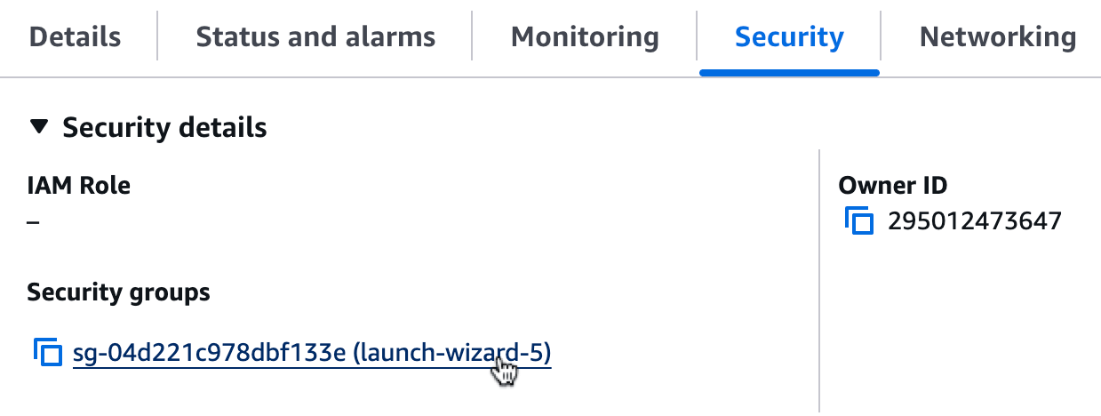 Security tab