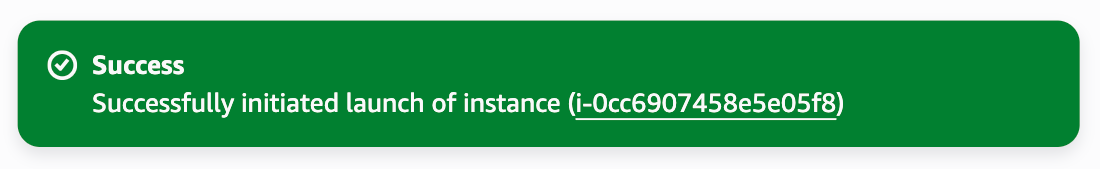 Instance launched