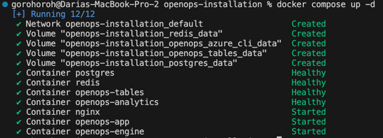 Containers and volumes are ready