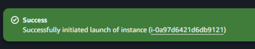 Instance launched