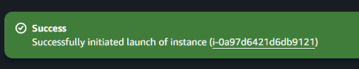 Instance launched