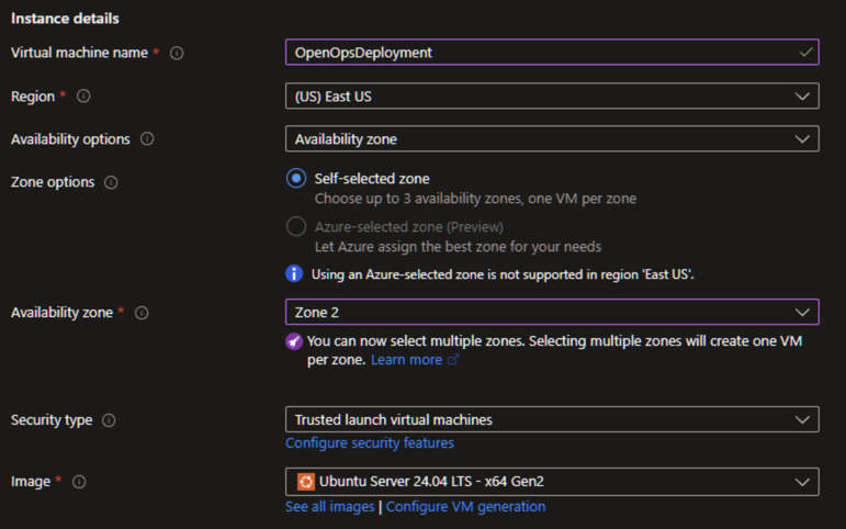 Instance details