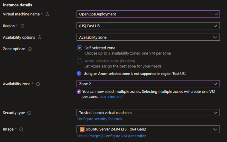 Instance details