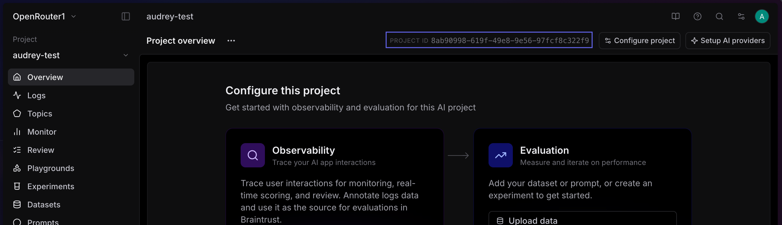 Braintrust Project ID